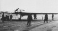 Gotha Go-229 / Horten Ho IX